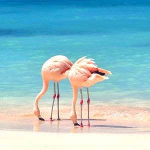 Meet your Posher, Jess